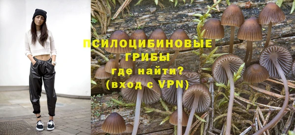 прущая мука Дмитровск