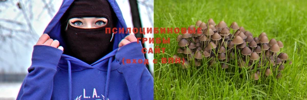 a pvp Абаза