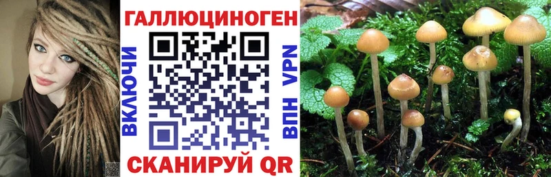 Галлюциногенные грибы Psilocybe  маркетплейс какой сайт  Ефремов 