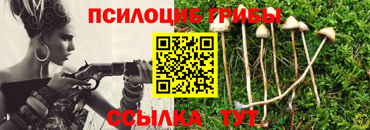Псилоцибиновые грибы Cubensis Ефремов