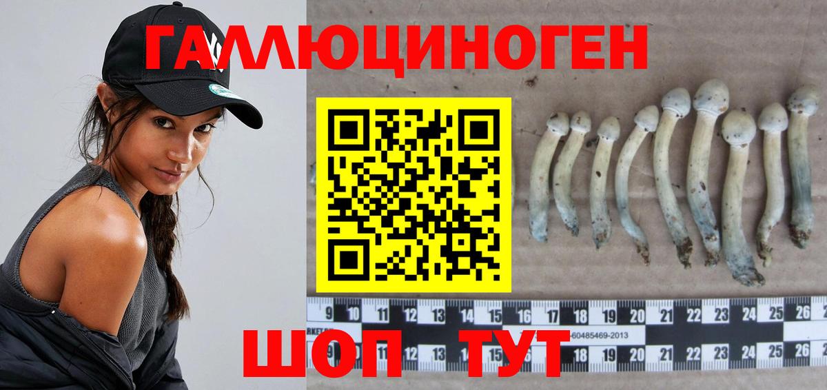 Галлюциногенные грибы мицелий  Вход с VPN  Ефремов 
